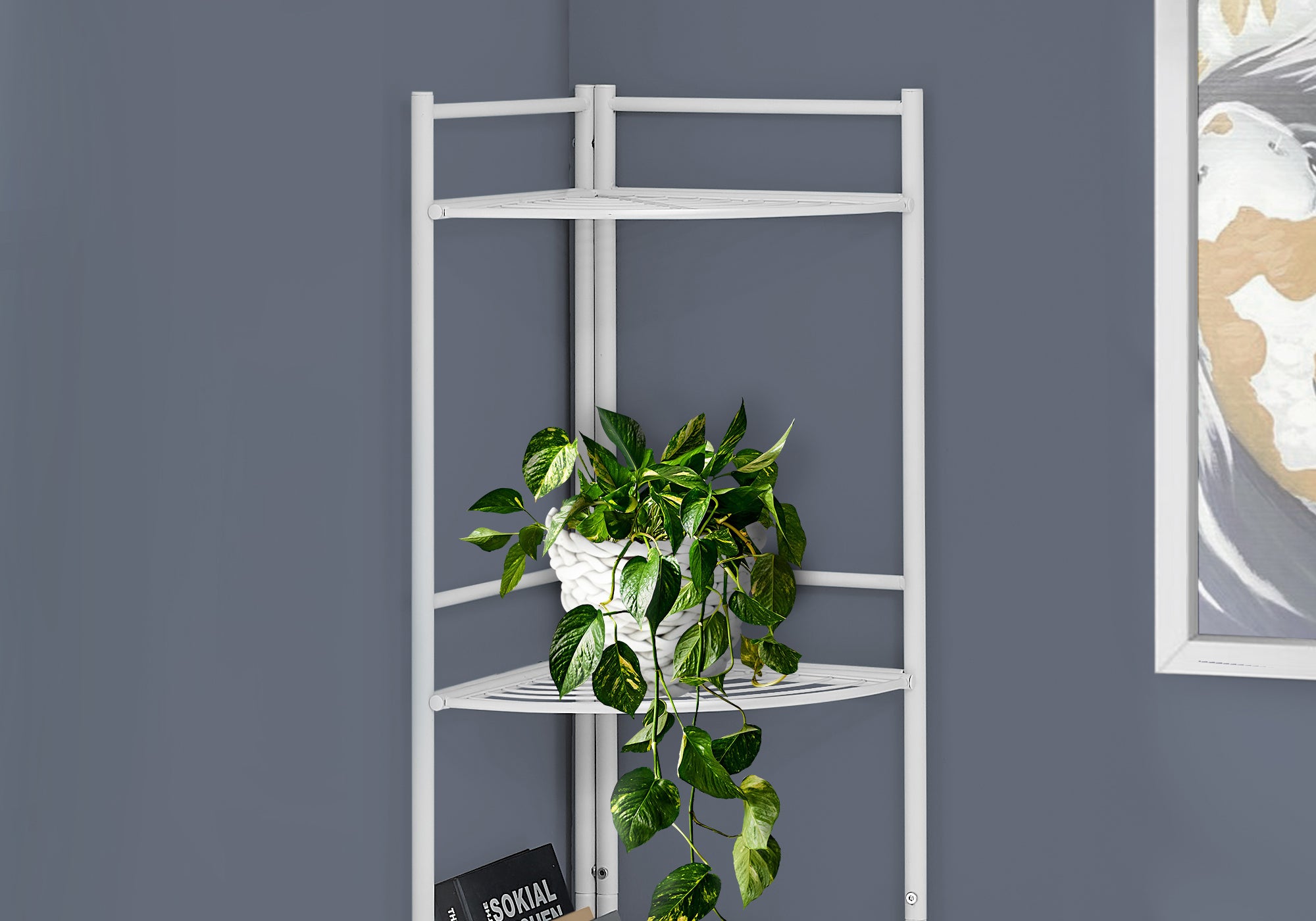 Bookcase - 58H / White Metal Corner Etagere