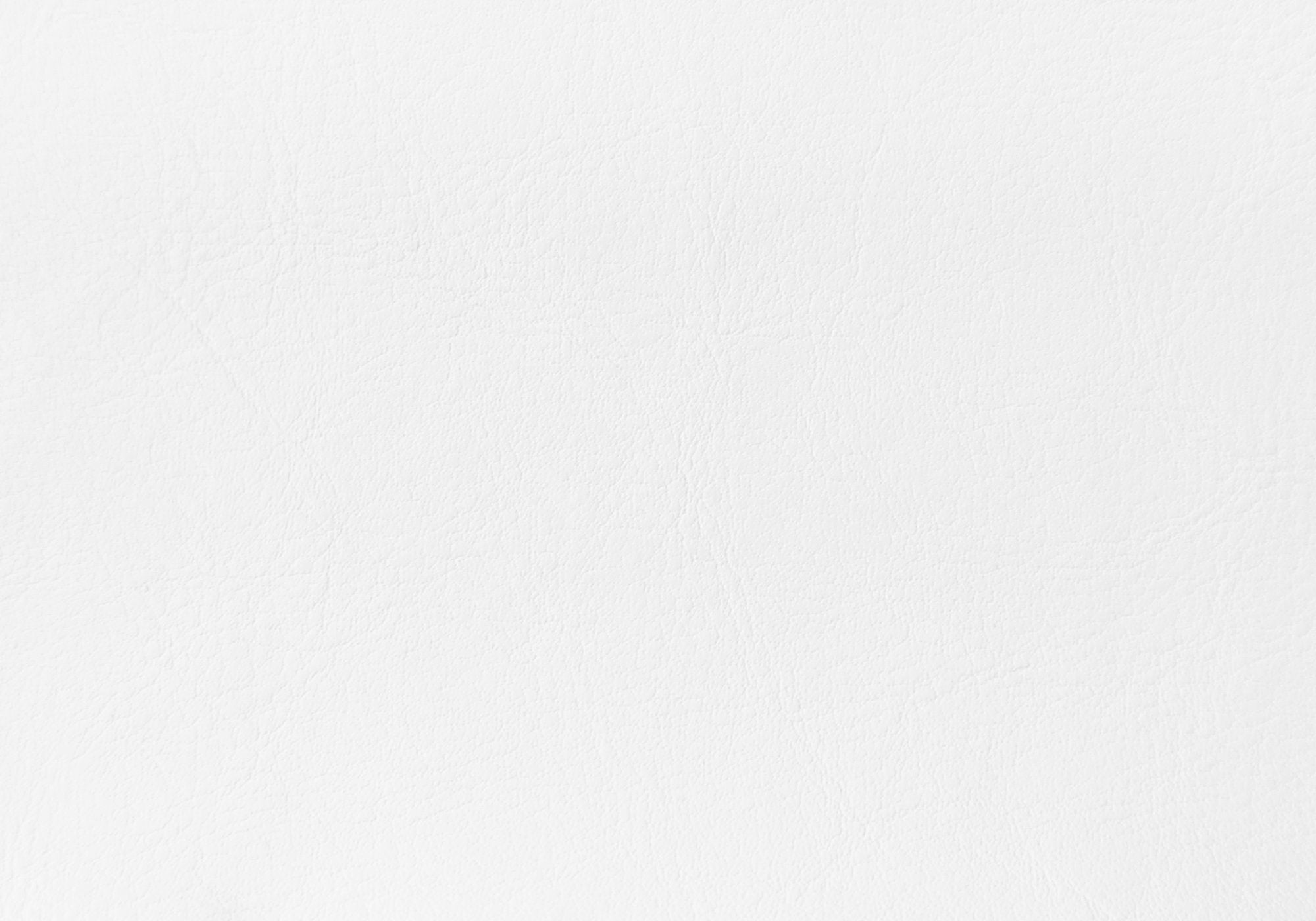 Bed - Twin Size / White Leather-Look