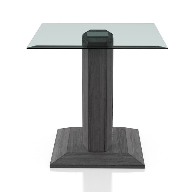 Lillon Contemporary Glass Top End Table