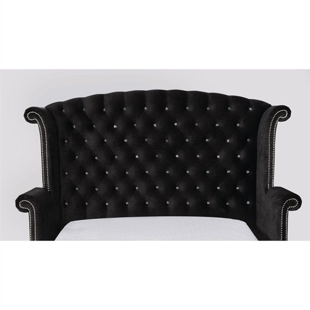 Clerita Transitional Wingback Tufted Queen Bed in Black