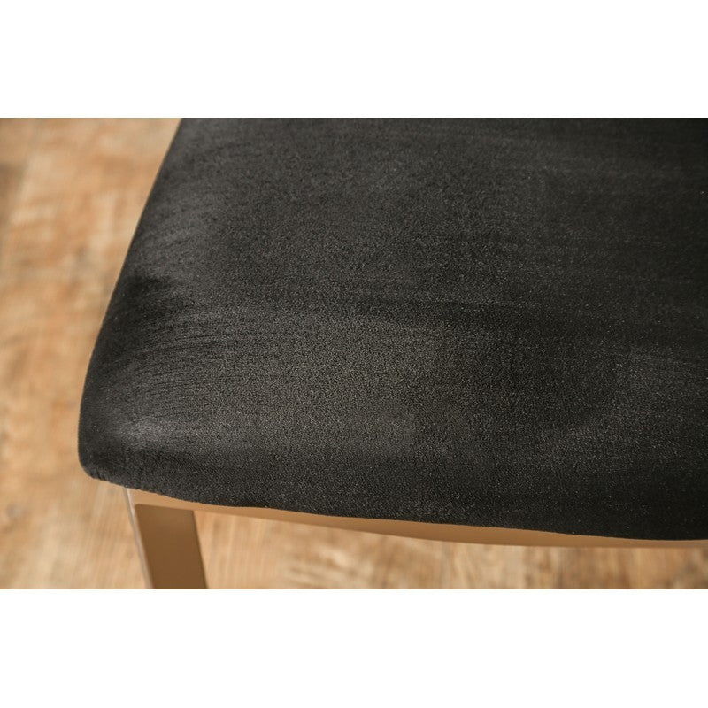 Tino Contemporary Padded Side Chairs (Set of 2)
