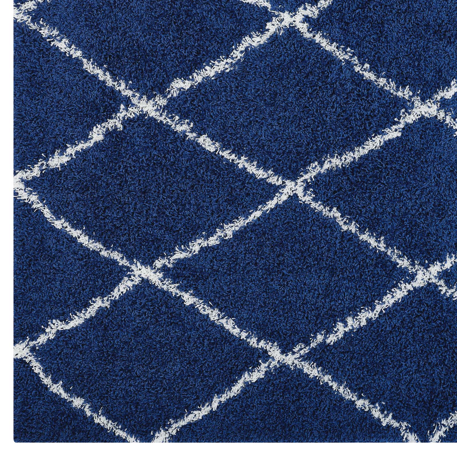 Toryn Diamond Lattice 5x8 Shag Area Rug