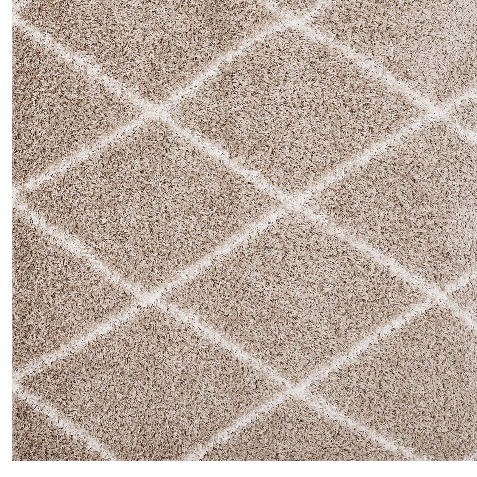 Toryn Diamond Lattice 5x8 Shag Area Rug