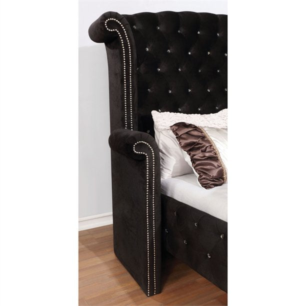 Clerita Transitional Wingback Tufted Queen Bed in Black